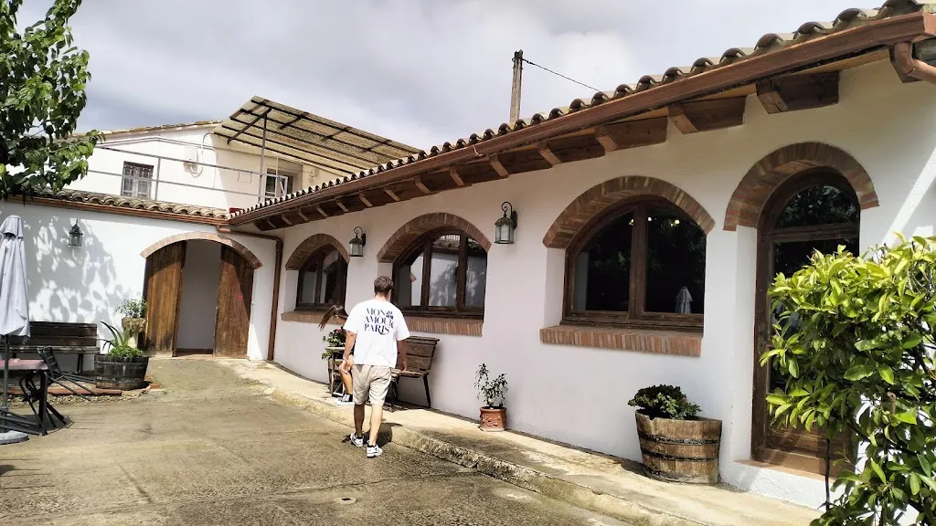 Iván_Masia Les Brases_Puigdàlber_review