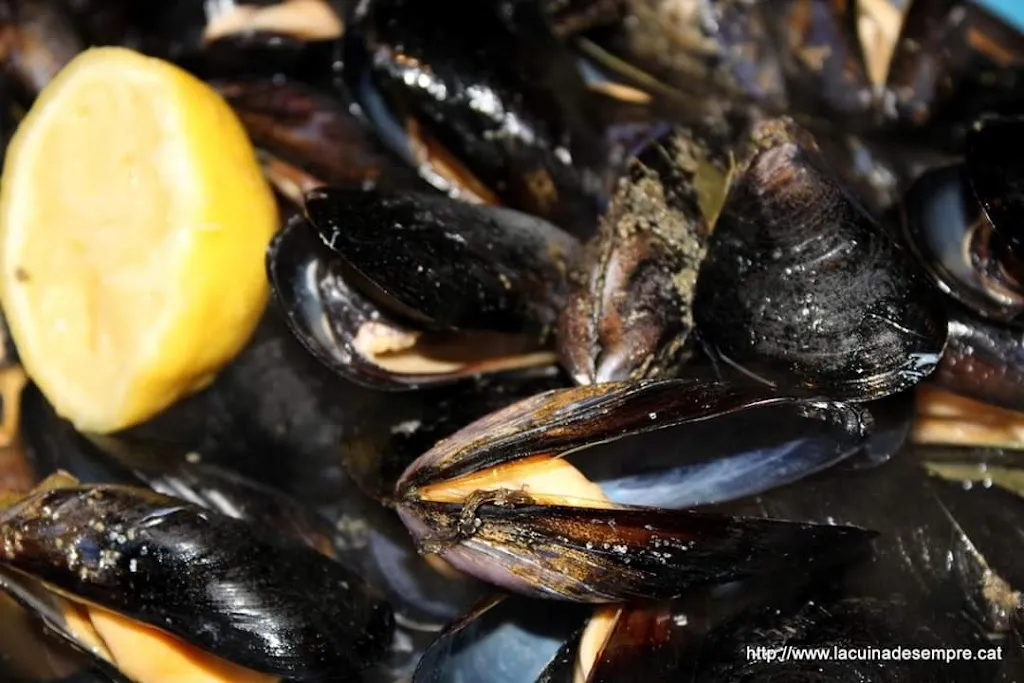 Menu_Restaurant Juventus_Puig-reig_image_7