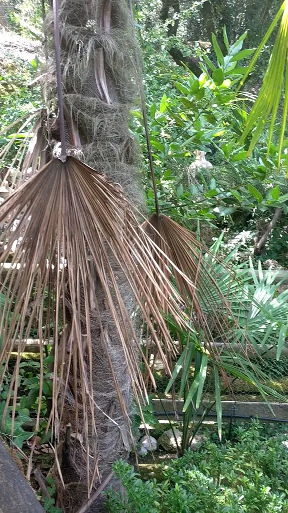 Abilio Ayuso_Restaurant Can Toni_Rellinars_review