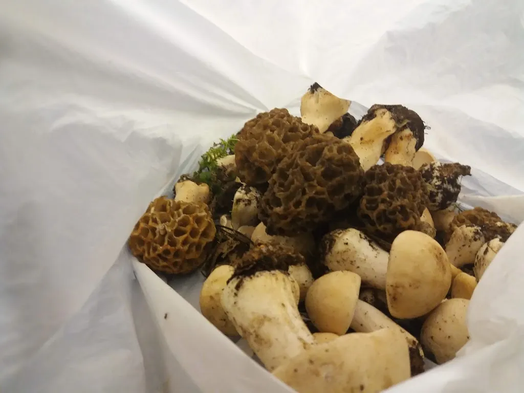 Menu_Fonda Urgell_Roda de Ter_image_5