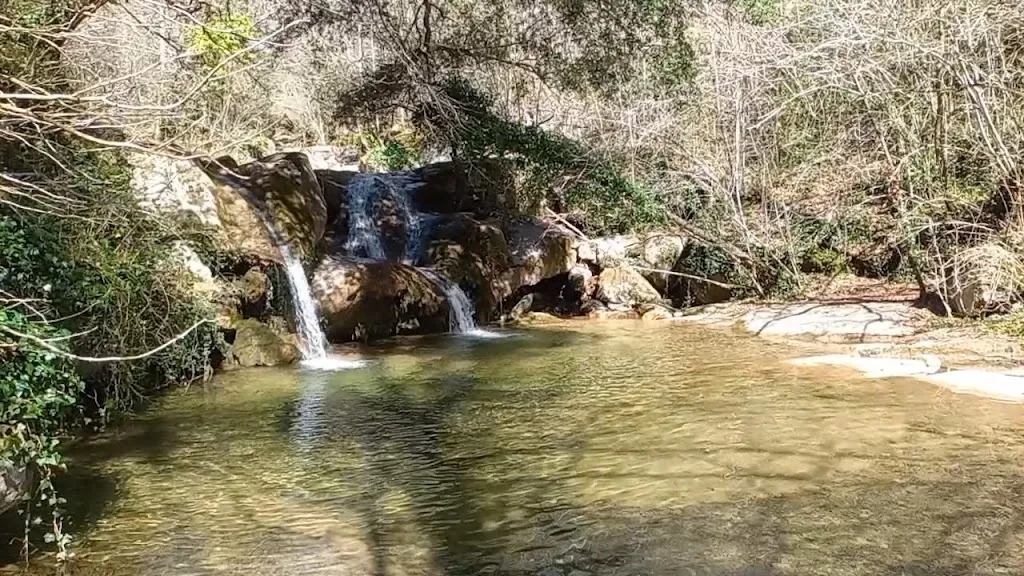 Jordi Mas Tenas_Bar Restaurant Sant Sebastià_Roda de Ter_review