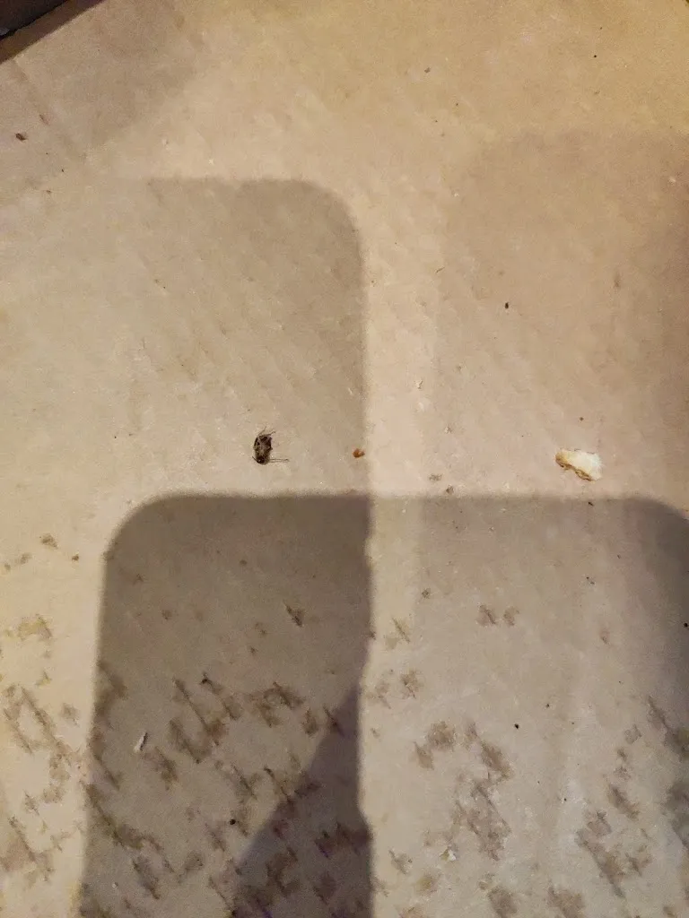 P. Moreno García_La rambla Polinyà_Polinyà_recensione