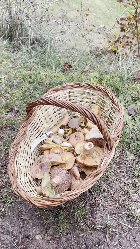 BobXpixels_El Racó_Saldes_review