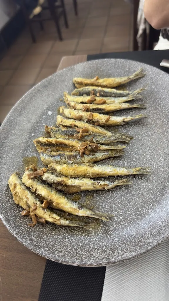 Josep R_Can Perich_Sant Andreu de Llavaneres_review