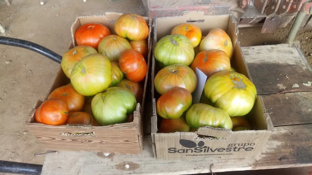 Menu_Restaurant El Rincón de la Tortilla 2_Sant Climent de Llobregat_image_7