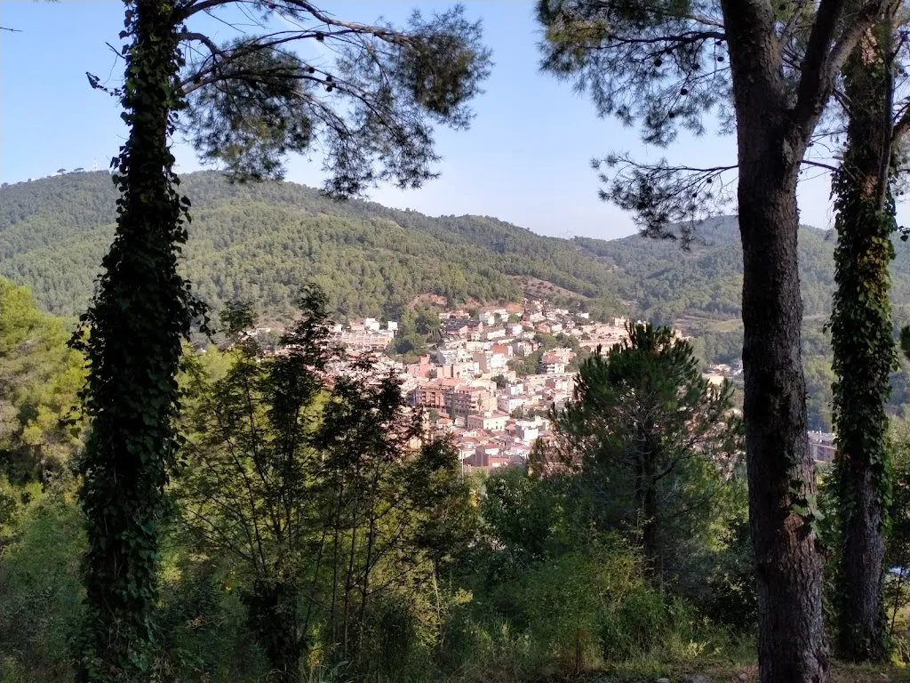 José Paredes_Restaurant El Rincón de la Tortilla 2_Sant Climent de Llobregat_review