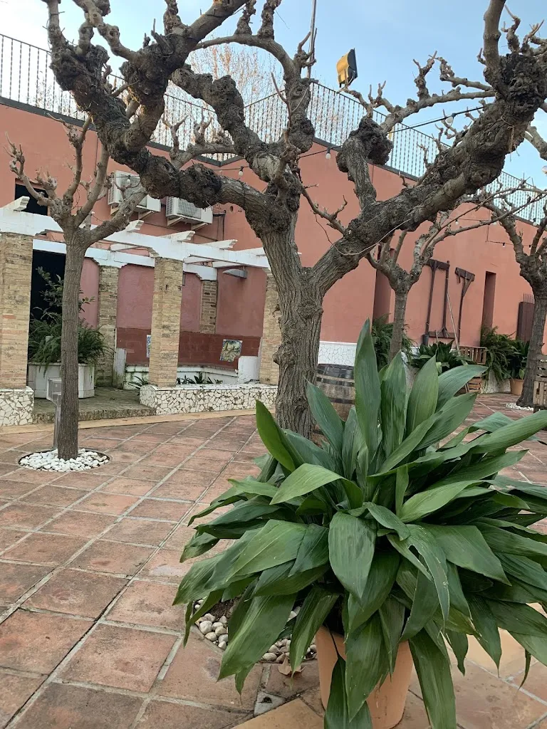 Anna Castan_Masia de la Torre del Gall_Sant Cugat Sesgarrigues_review