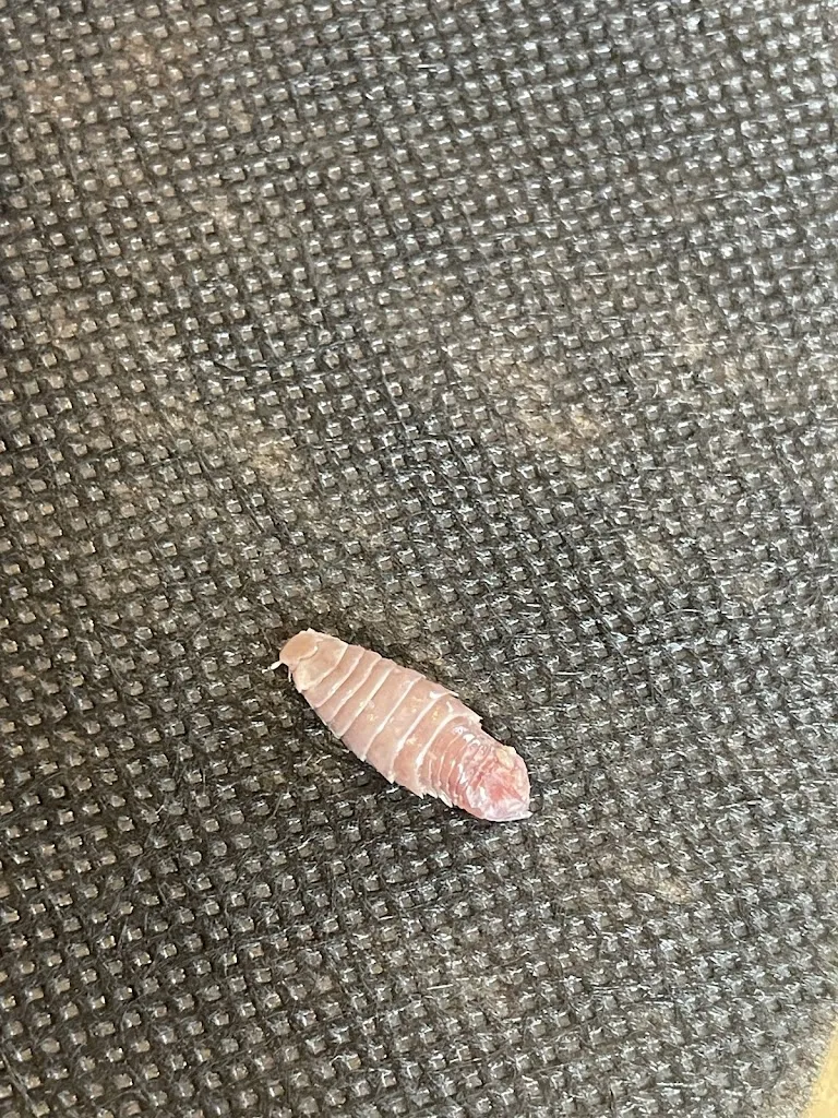 duuniii_Restaurant ca la Ferrera_Sant Celoni_review