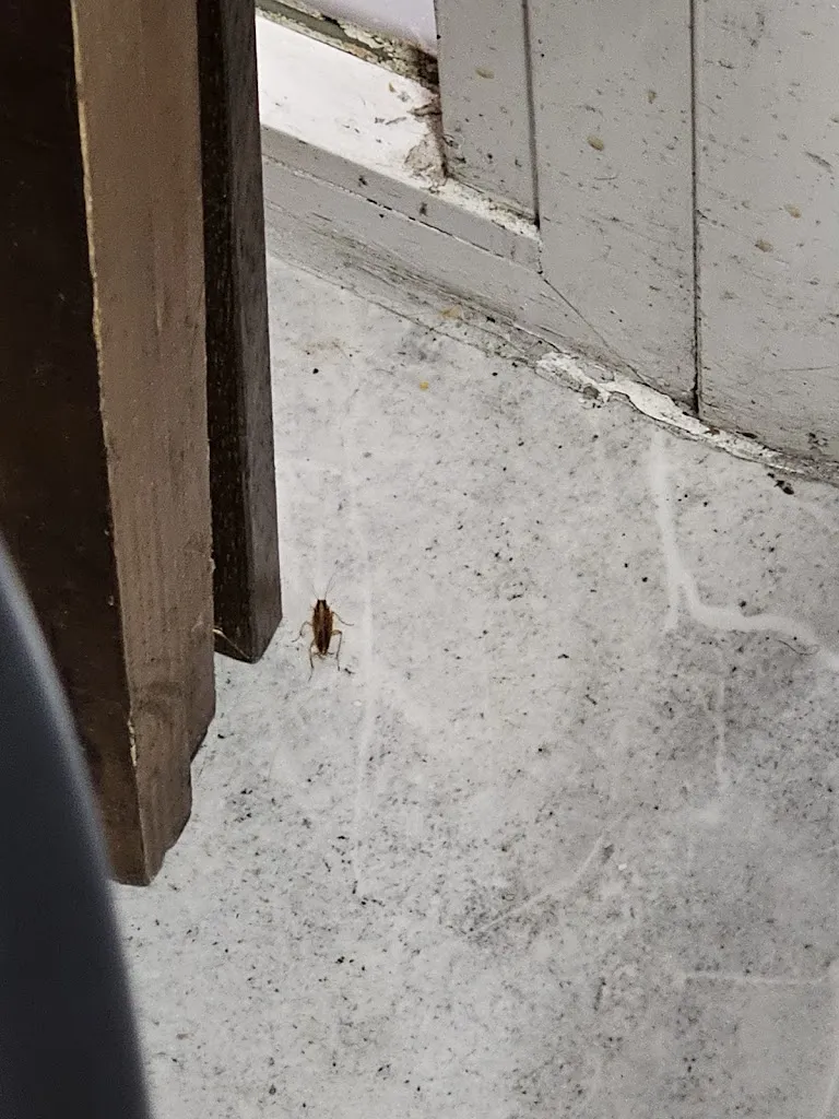 Jose Cortes_Bocamix_Sant Adrià de Besòs_recensione