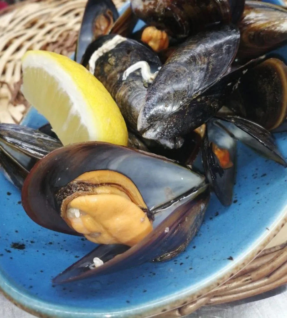 Menu_Bodega 1860_Sant Cugat del Vallès_image_6