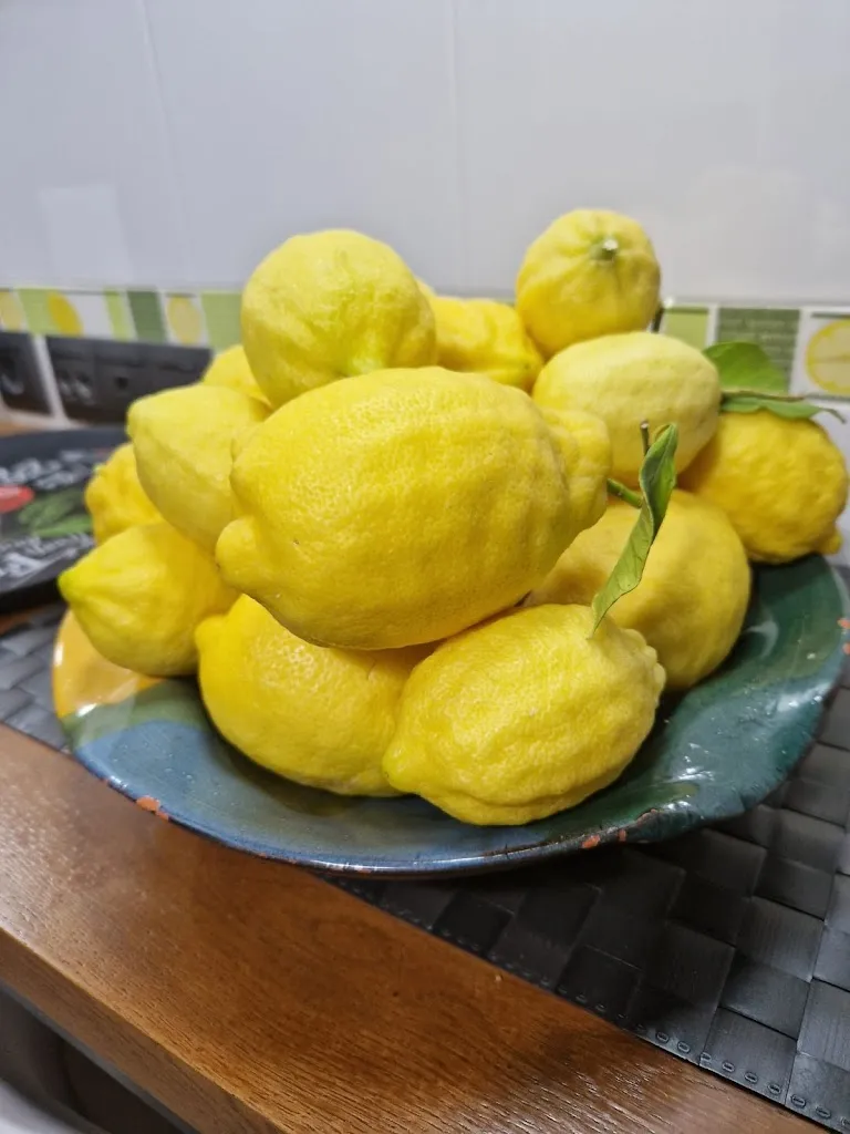 Menu_nyamnyam_Sant Joan de Vilatorrada_image_8