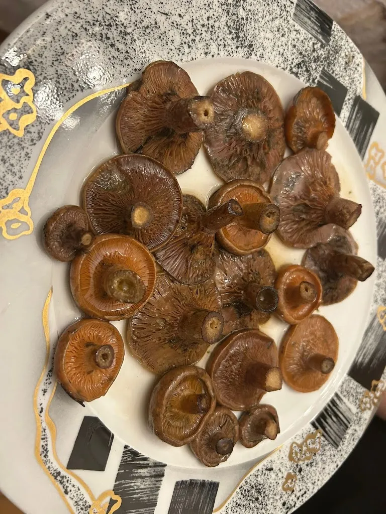 Restaurant Cal Ramon_Sant Llorenç Savall_slider_image_3