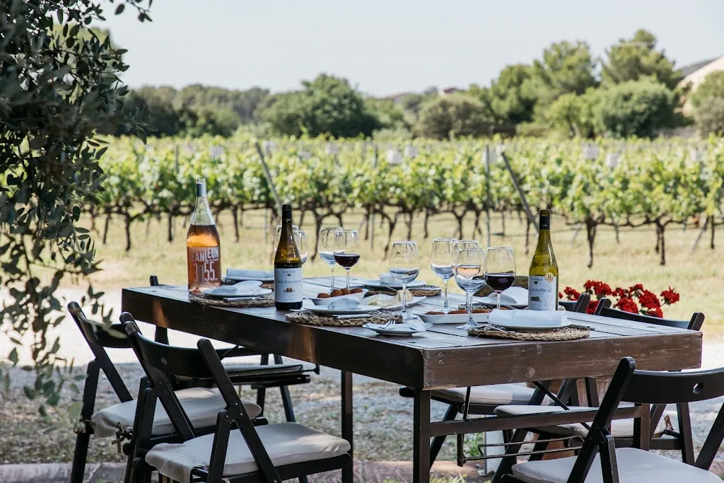 Familia Torres - Restaurant Mas Rabell_Sant Martí Sarroca_slider_image_1