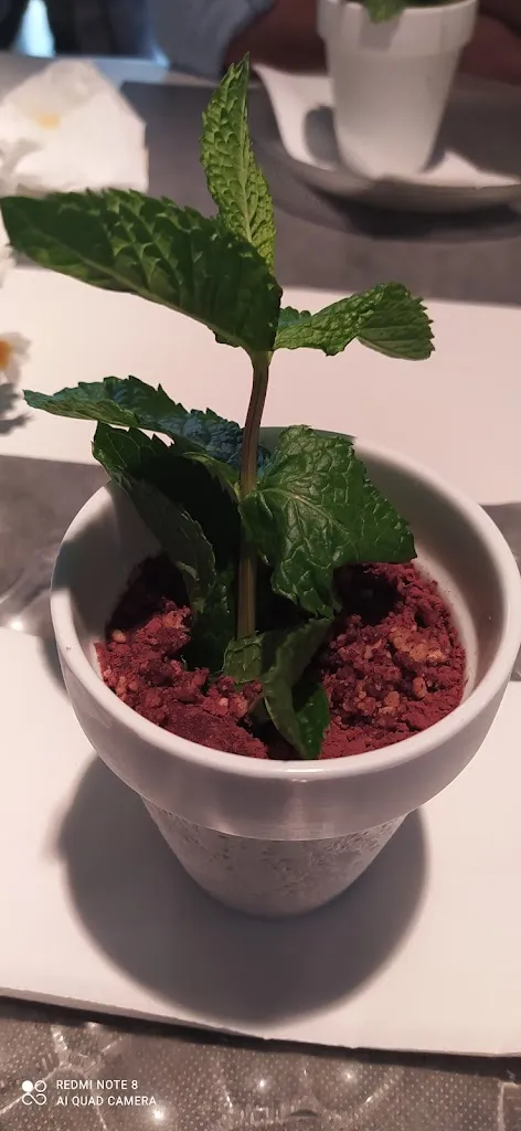 Menu_Aire Restaurant_Sant Feliu de Llobregat_image_7