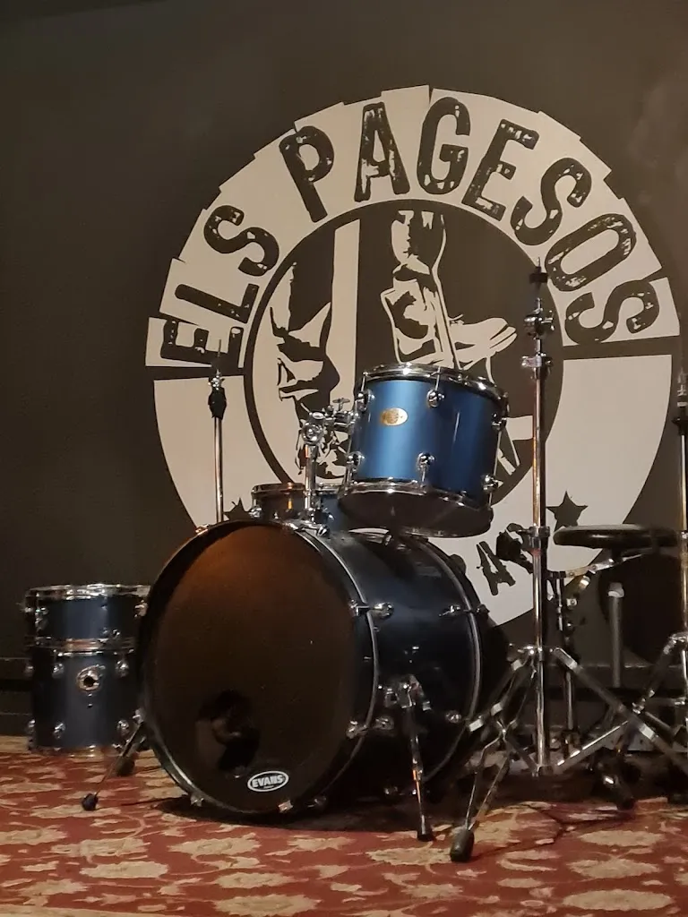 Javiking Photos_Els Pagesos Music Bar_Sant Feliu de Llobregat_review