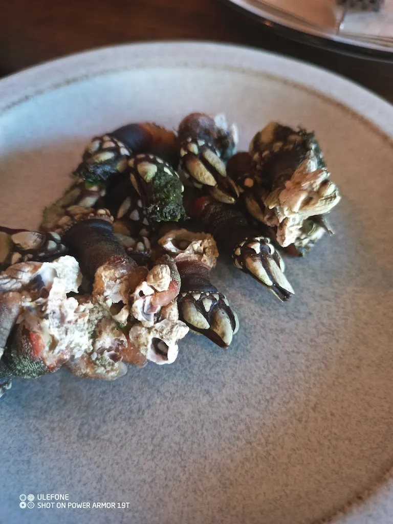 Menu_n o r d e s t a d a_Porto do Son_immagine_7