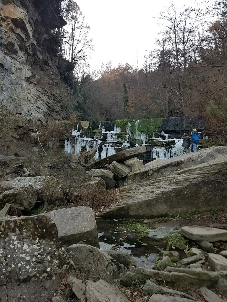 Bar restaurant Sant Jordi restaurant in Sant Pere de Riudebitlles