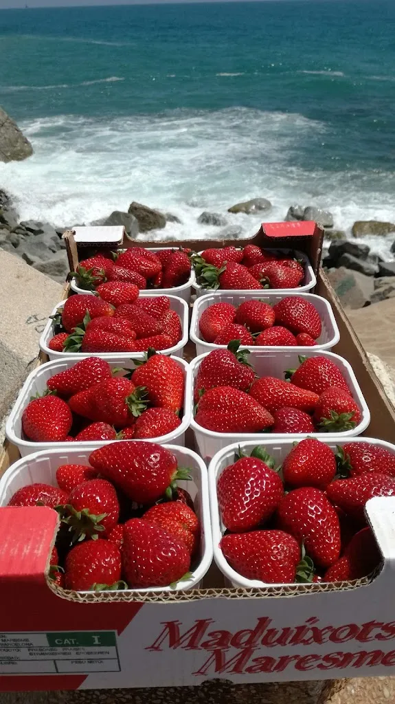 Menu_El Restaurant del Nàutic - Sant Pol de Mar_Sant Pol de Mar_image_5