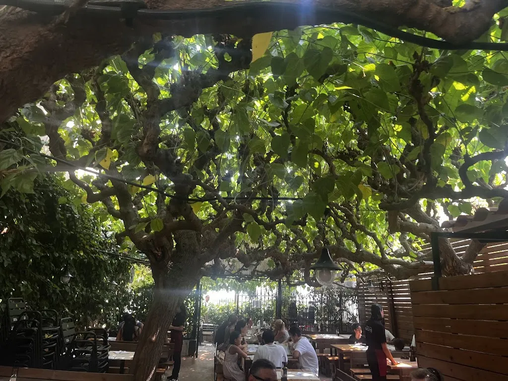 Maria Ines Bertone_Restaurant La Selva_Sant Pol de Mar_recensione