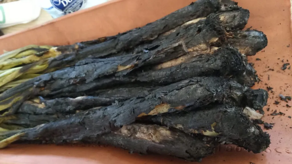 Menu_Restaurant Mirador de les Caves | Cuina amb brasa a prop de Sant Sadurní_Sant Sadurní dAnoia_immagine_5