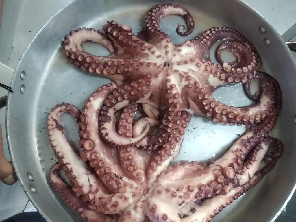 Menu_Bar Restaurant El Túnel_Sant Quirze de Besora_image_9