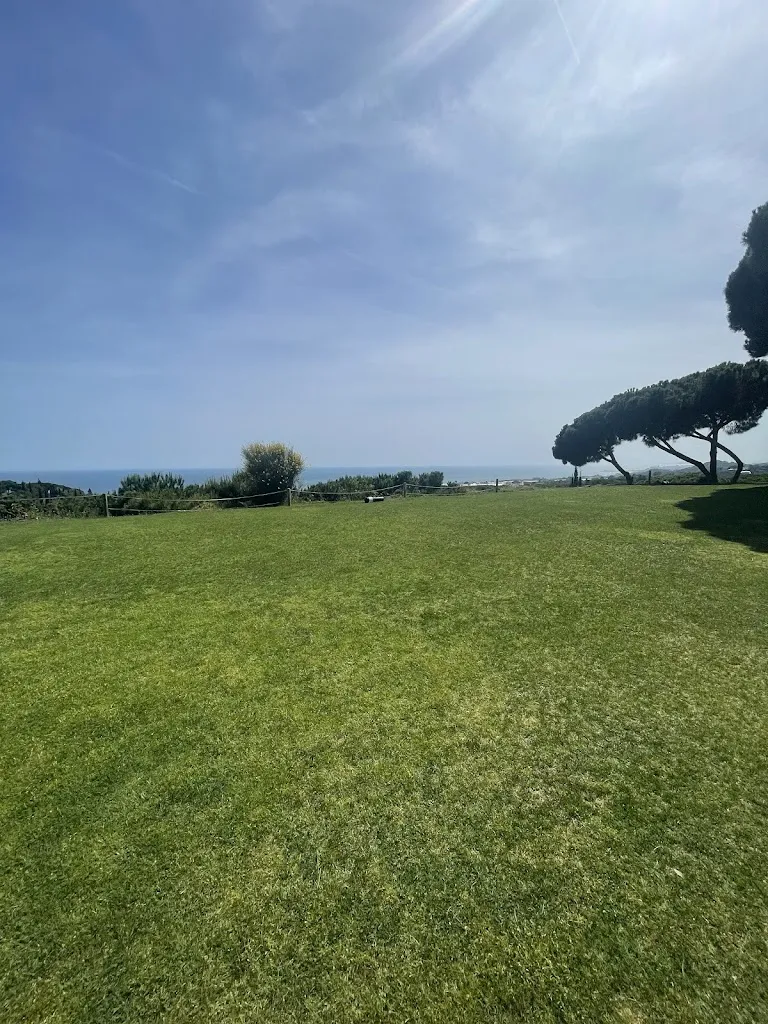 Carles Carrera_Racó 19_Sant Vicenç de Montalt_review