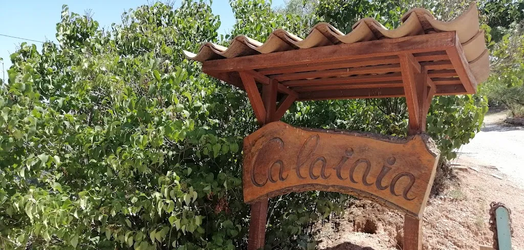 Goose without a hat_Restaurant Ca la Iaia_Sant Salvador de Guardiola_review