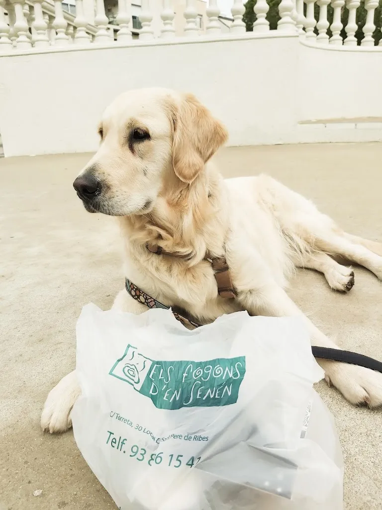 Nuria Gámez_Fogons d'en Senén - Menjar per emportar_Sant Pere de Ribes_review