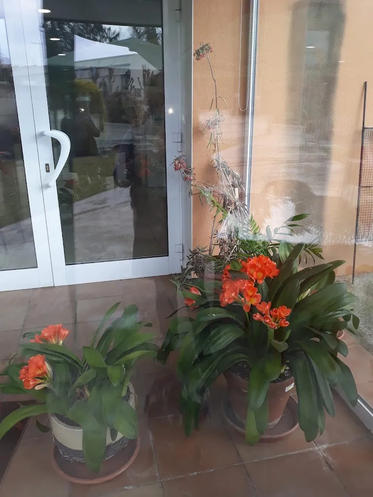 Casal D'Avis de Sant Vicenç de Torelló_Sant Vicenç de Torelló_slider_image_2