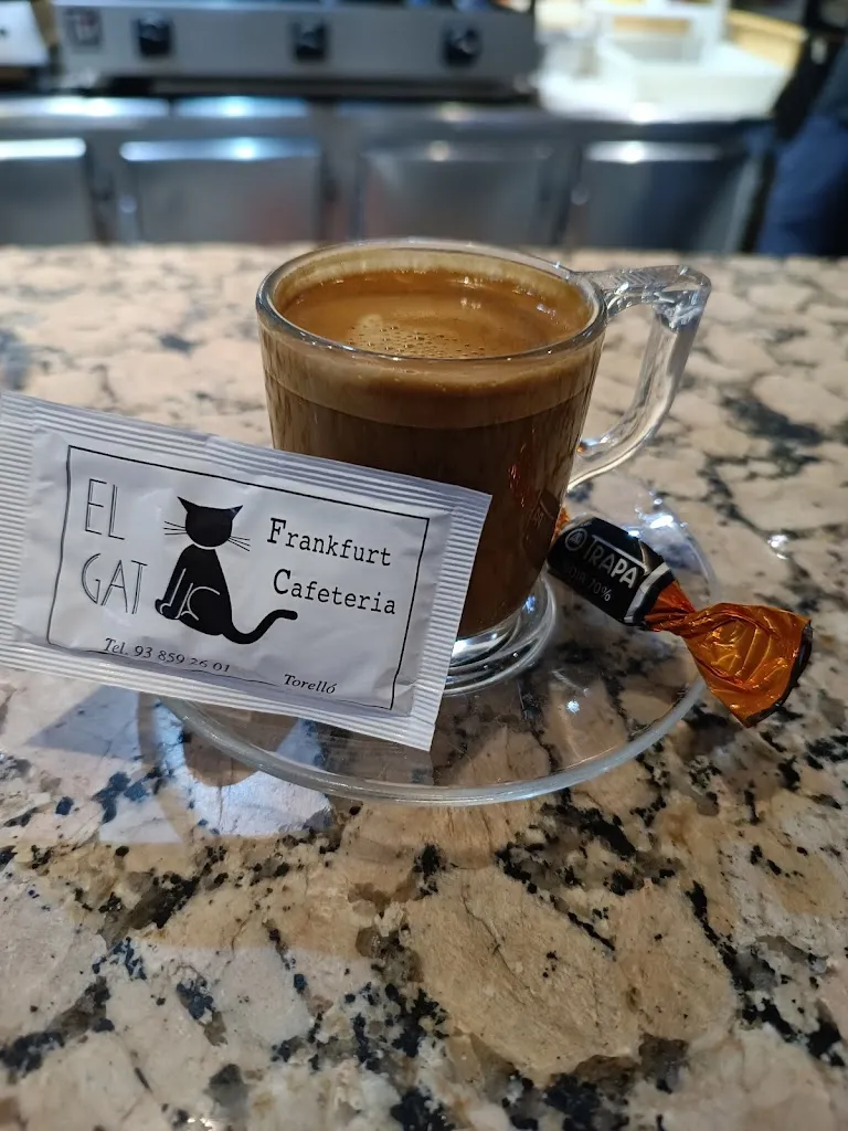 carlos rius_El Gat_Sant Vicenç de Torelló_review