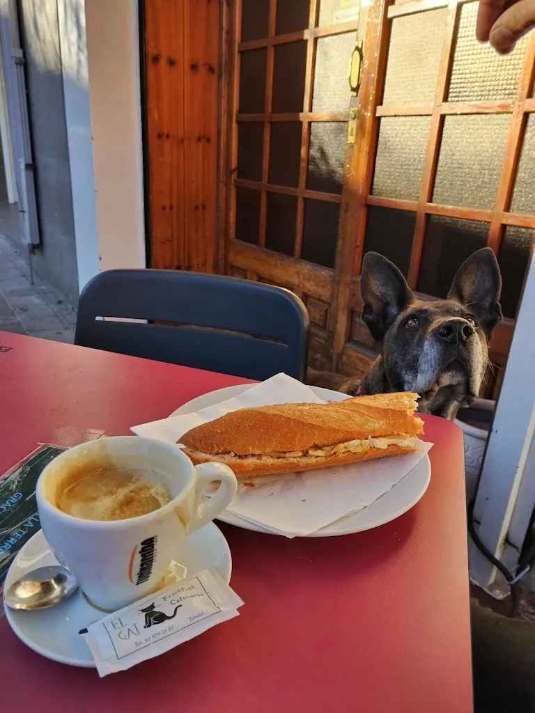 A. Roura_El Gat_Sant Vicenç de Torelló_review