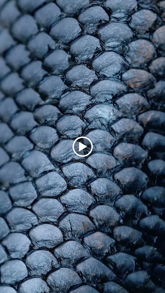 Mamma ho fame di luca cecio_Spezzano Albanese_slider_image_2