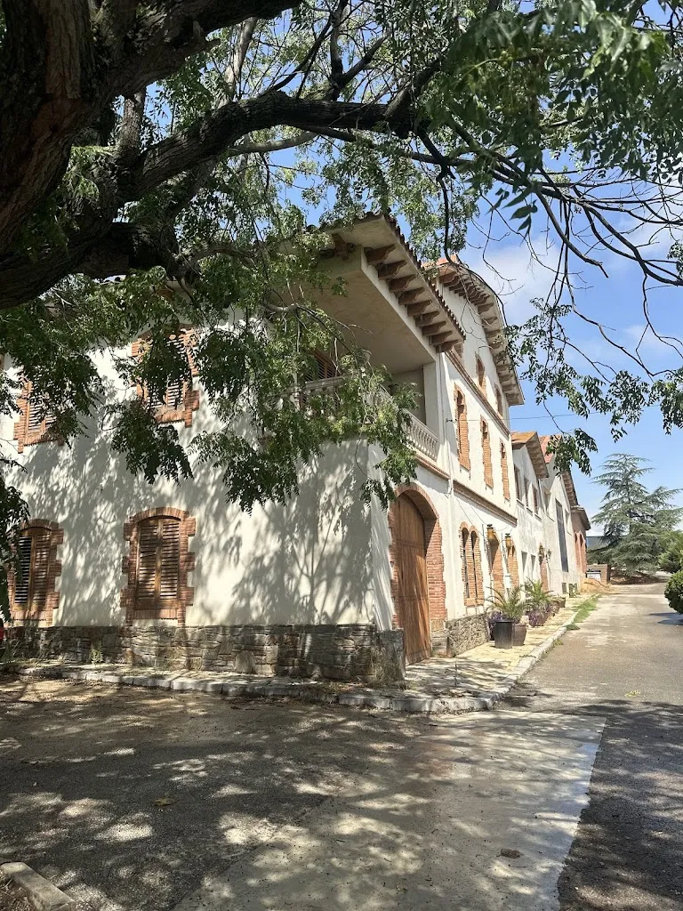 Юлия Франк_Masia Canals Casanovas_Subirats_review