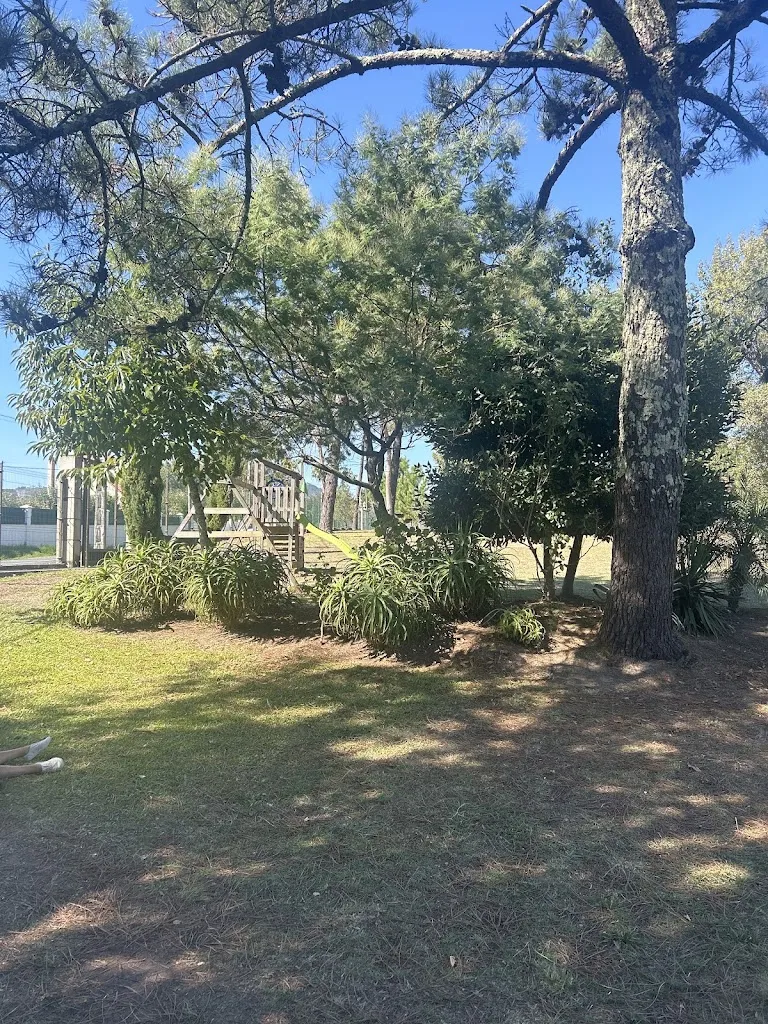 Teresa Bandin_Olivo Blanco_Pobra do Caramiñal A_review