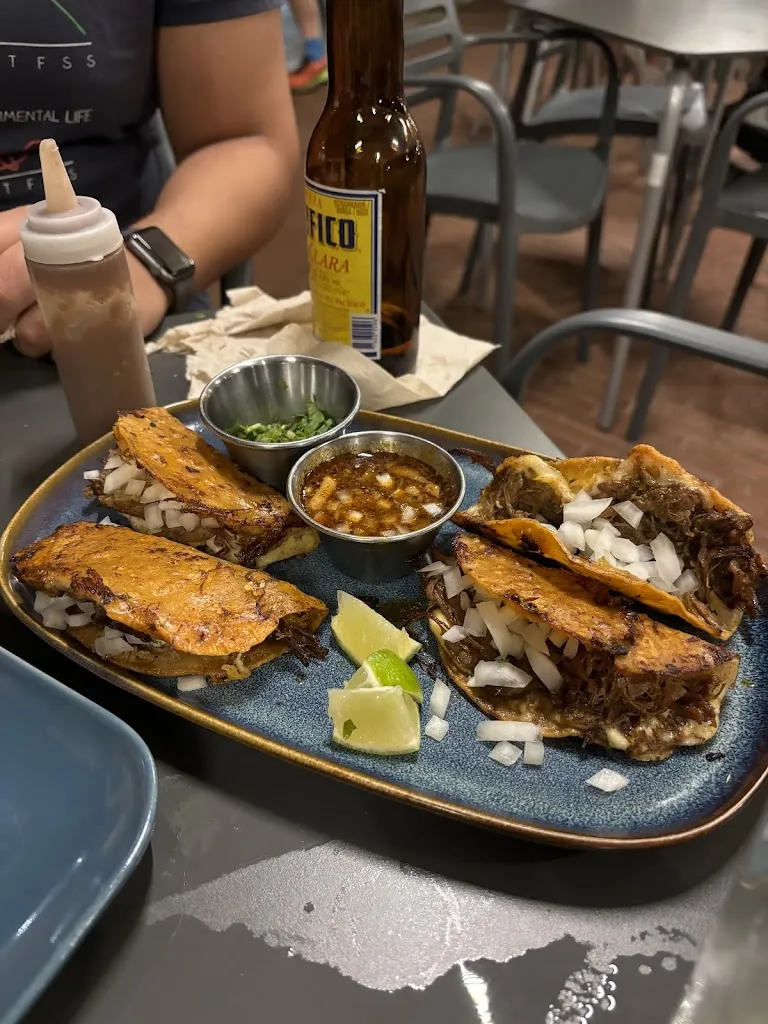 Kateryna Levchak_MexTerra Terrassa_Terrassa_review