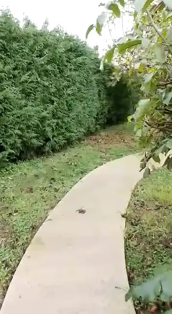 Pincheiro Apartamentos Turísticos SL_Pobra do Caramiñal A_slider_image_2