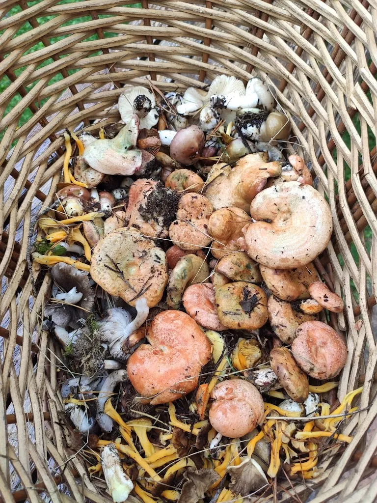 Menu_Restaurante Cal Sastre_Vallcebre_image_3