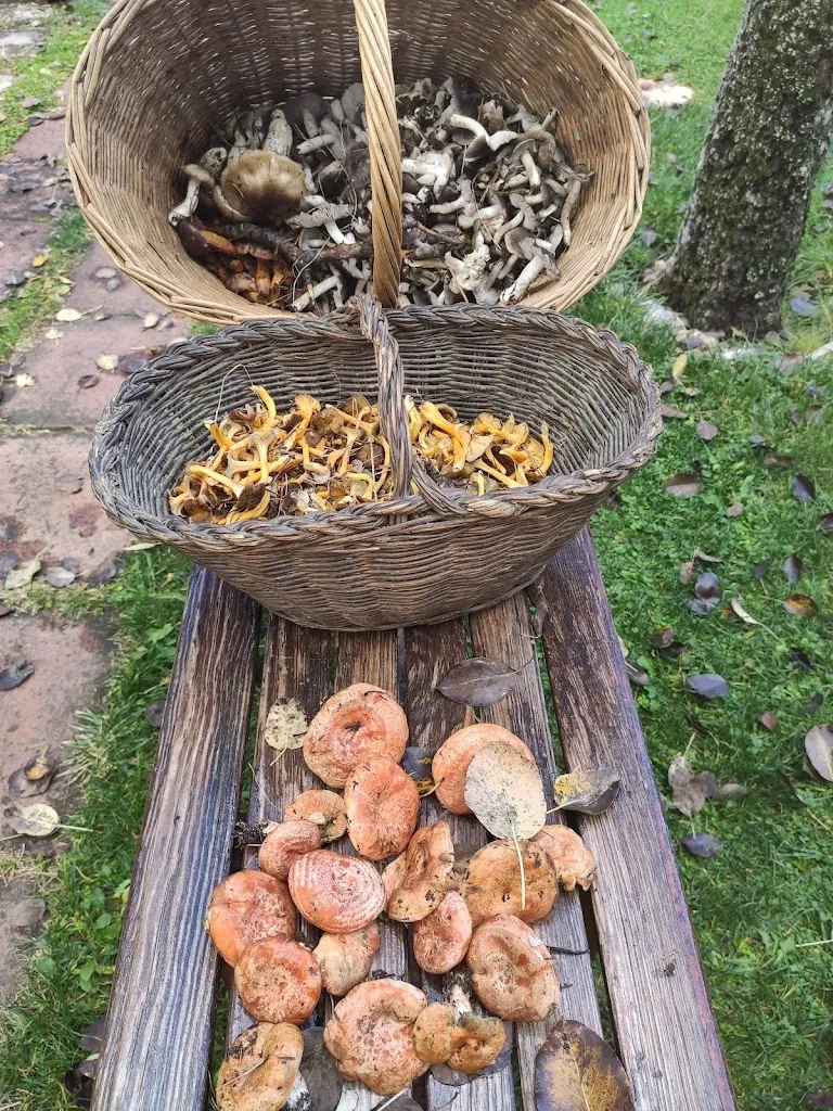 Menu_Restaurante Cal Sastre_Vallcebre_image_4