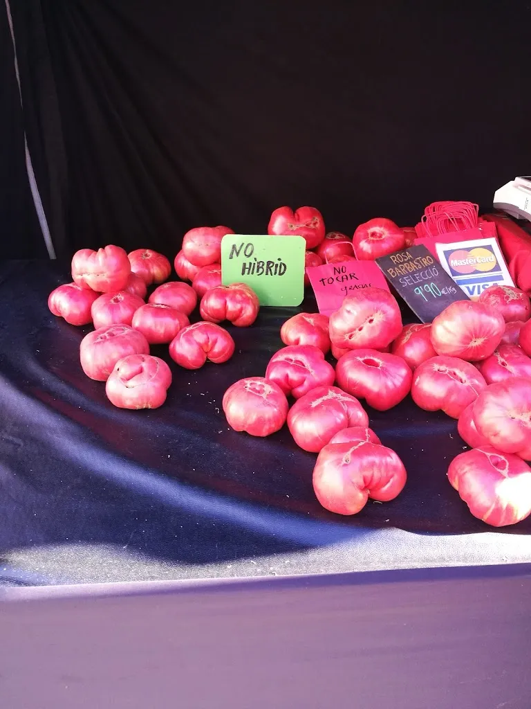 Menu_Bar Restaurant la Plaça_Torrelles de Llobregat_image_8