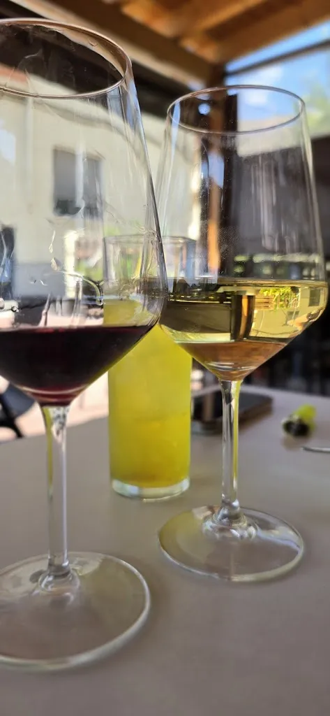 Francisco Nadal_Ivandy_Vacarisses_review