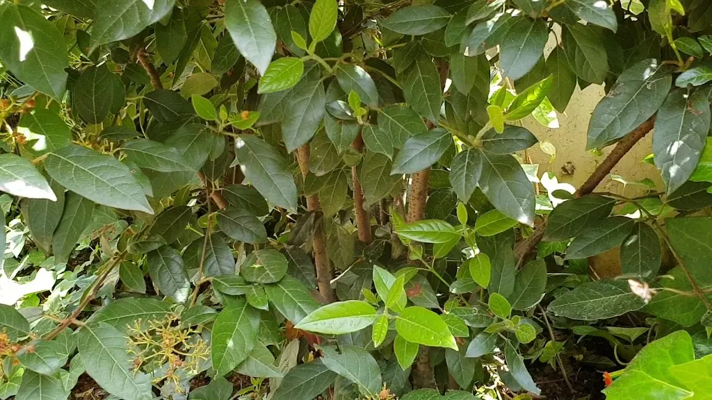 Camí de l'Obac_Vacarisses_slider_image_2