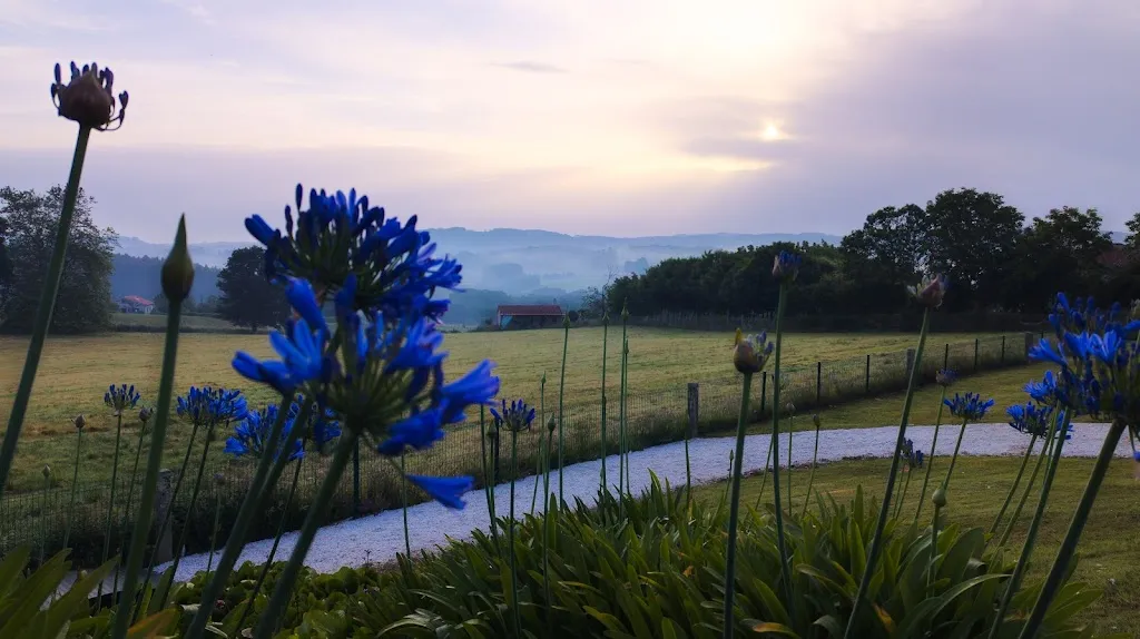 Kevin Lintern_Pazo Santa María_Arzúa_review