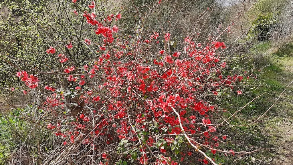 Chris Lee_Can Miqueló Nou_Vilassar de Dalt_review