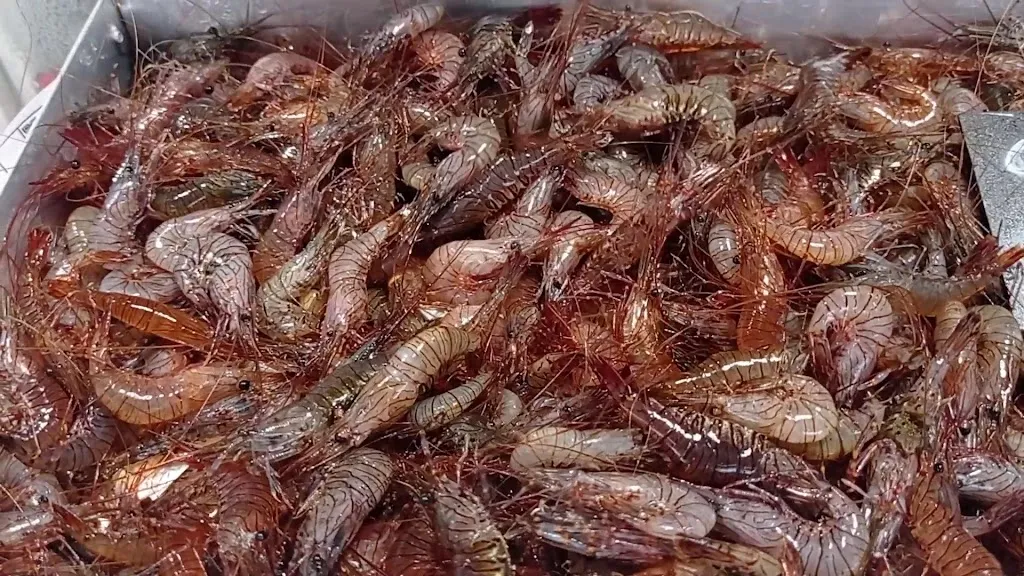 Cunchas Casaprima_Pontedeume_slider_image_2