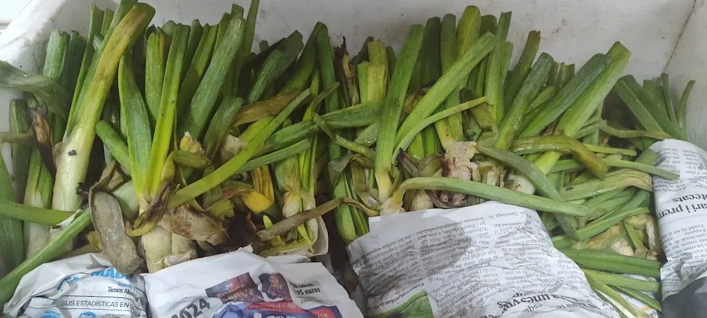 Menu_BAR & RESTAURANT ANFORA_Vilanova del Camí_image_6