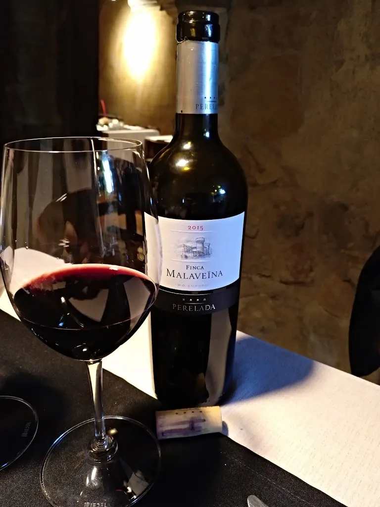 David_Gòtic de Torà_Viver i Serrateix_review