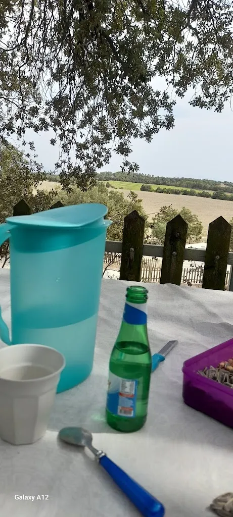 Bhr_Camping L'Hostalet_Viver i Serrateix_review