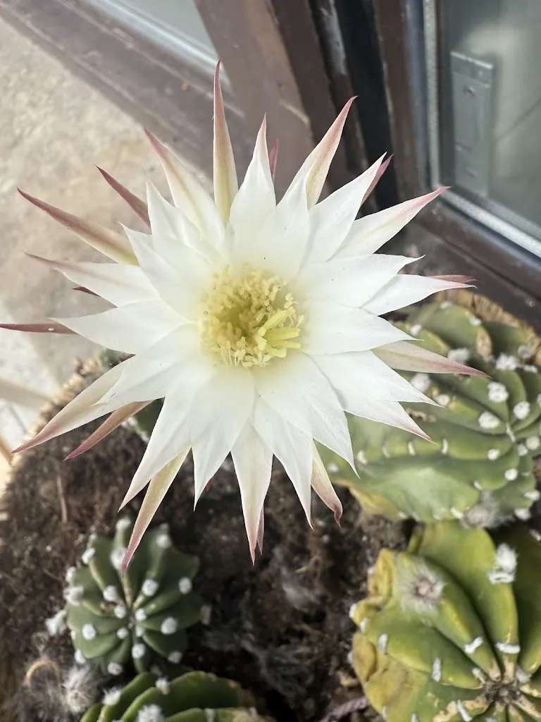 Zelaietako Jubilatuak_Abadiño_slider_image_3