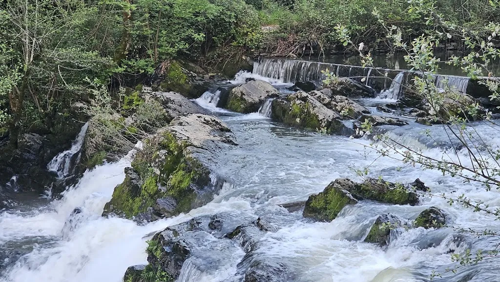 Pilar Ot_Hagina_Areatza_review