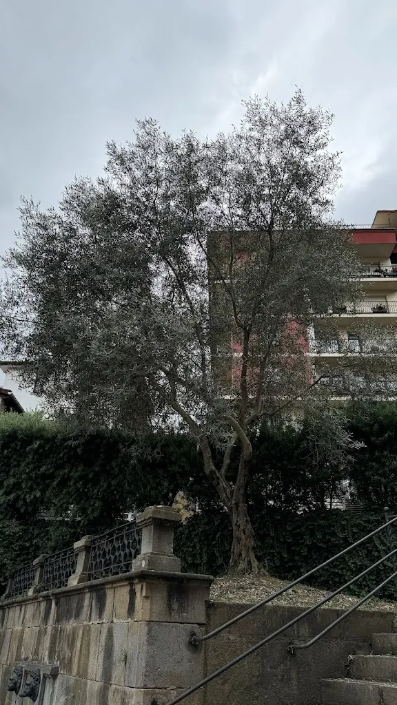 Parisa Azizi Shamami_Amalurra_Artzentales_review